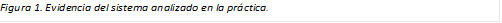 Figura 3. Evidencia del sistema analizado en la práctica.